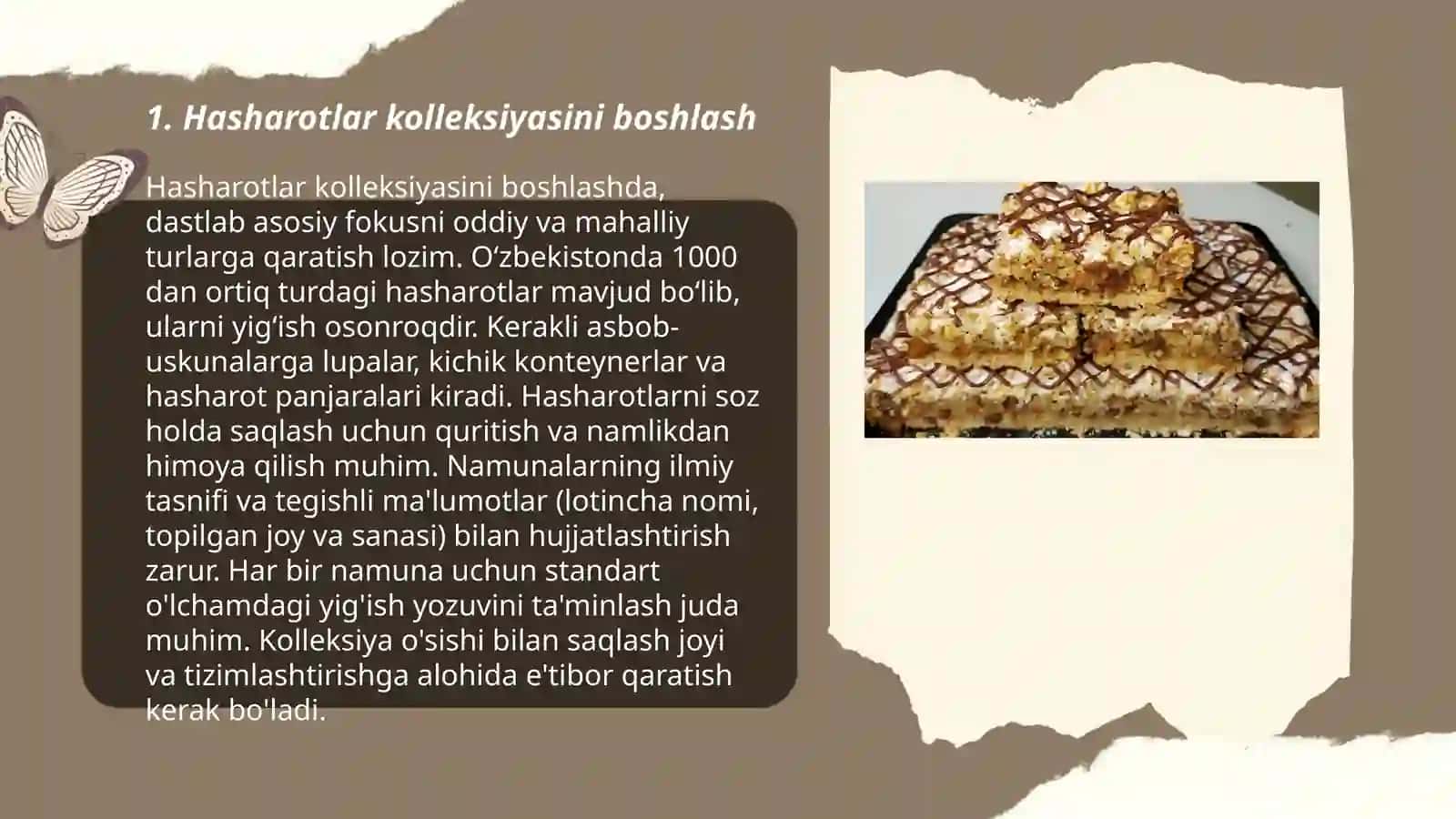 Hasharotlar kolleksiyalarini tayyorlash 3