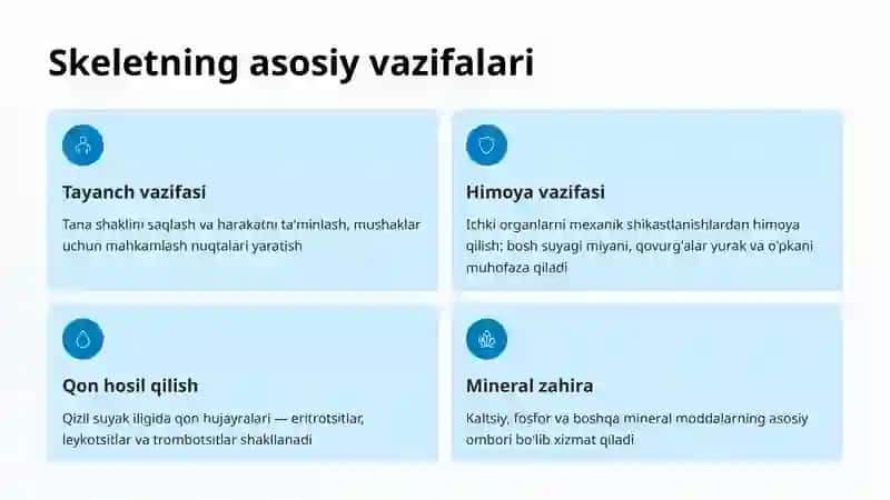 Skeletning Umumiy Tuzilishi 3