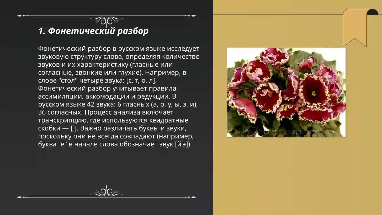 Фонетический разбор 3