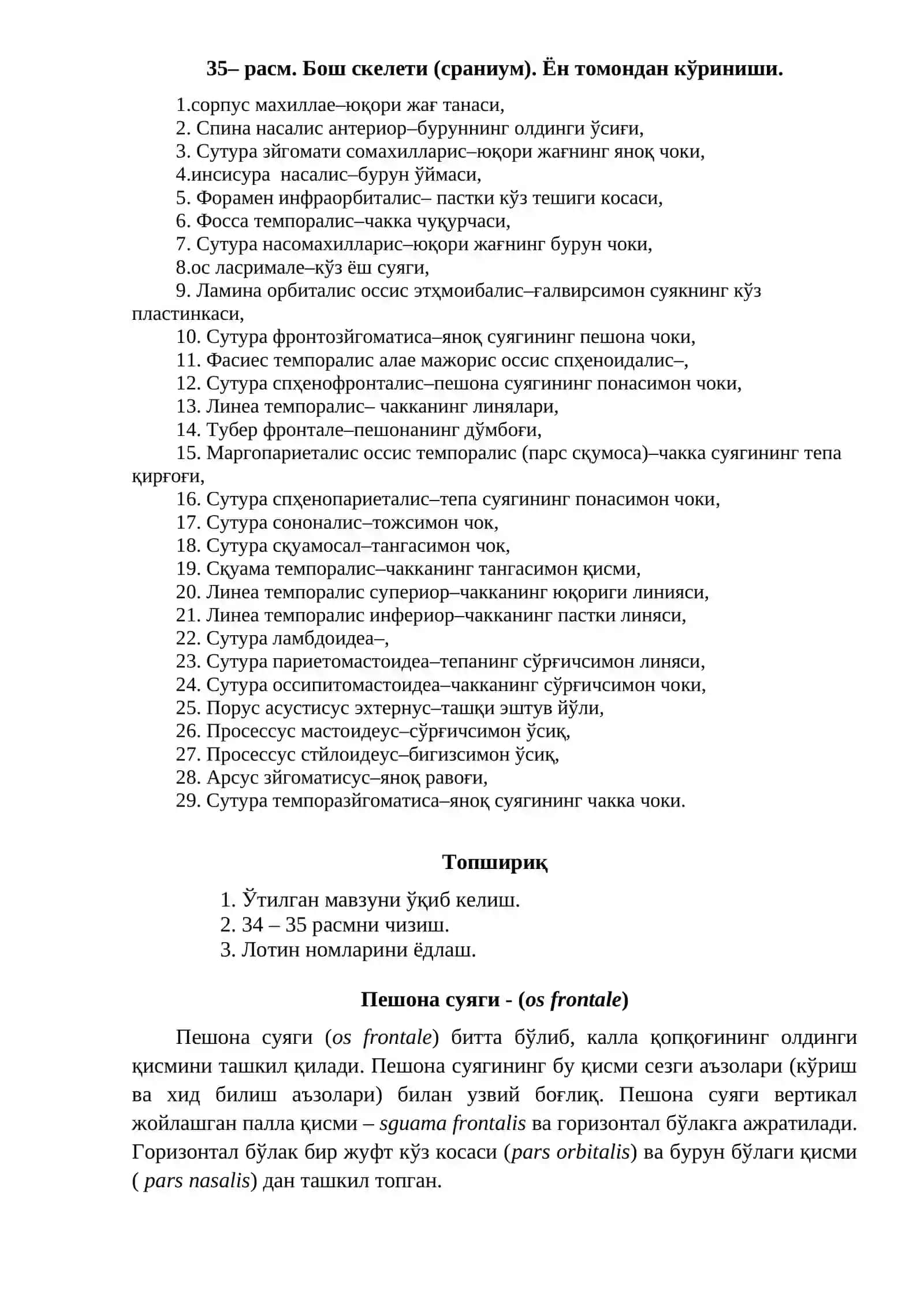 Бош скелети суяклари 3