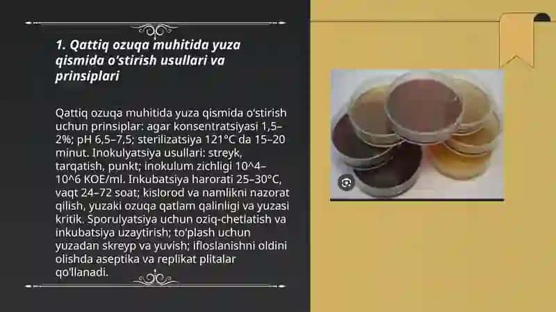 Baverian preparatini olish 3
