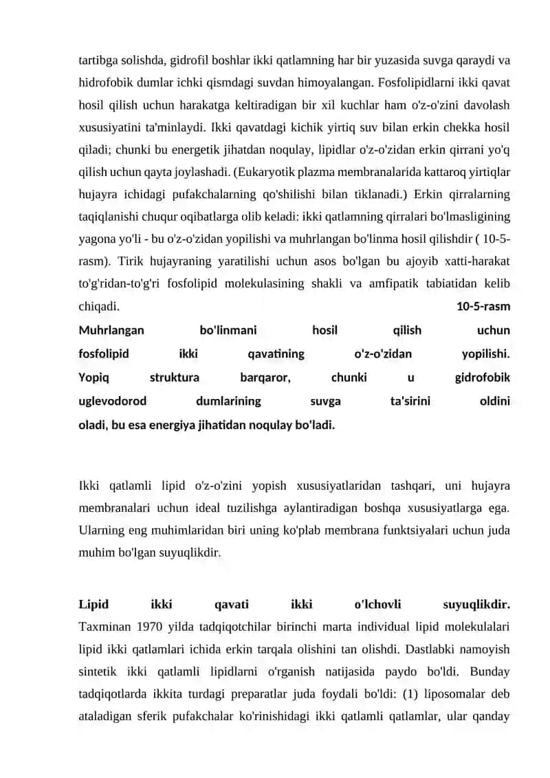 IKKI QAVATLI LIPID MEMBRANA 3