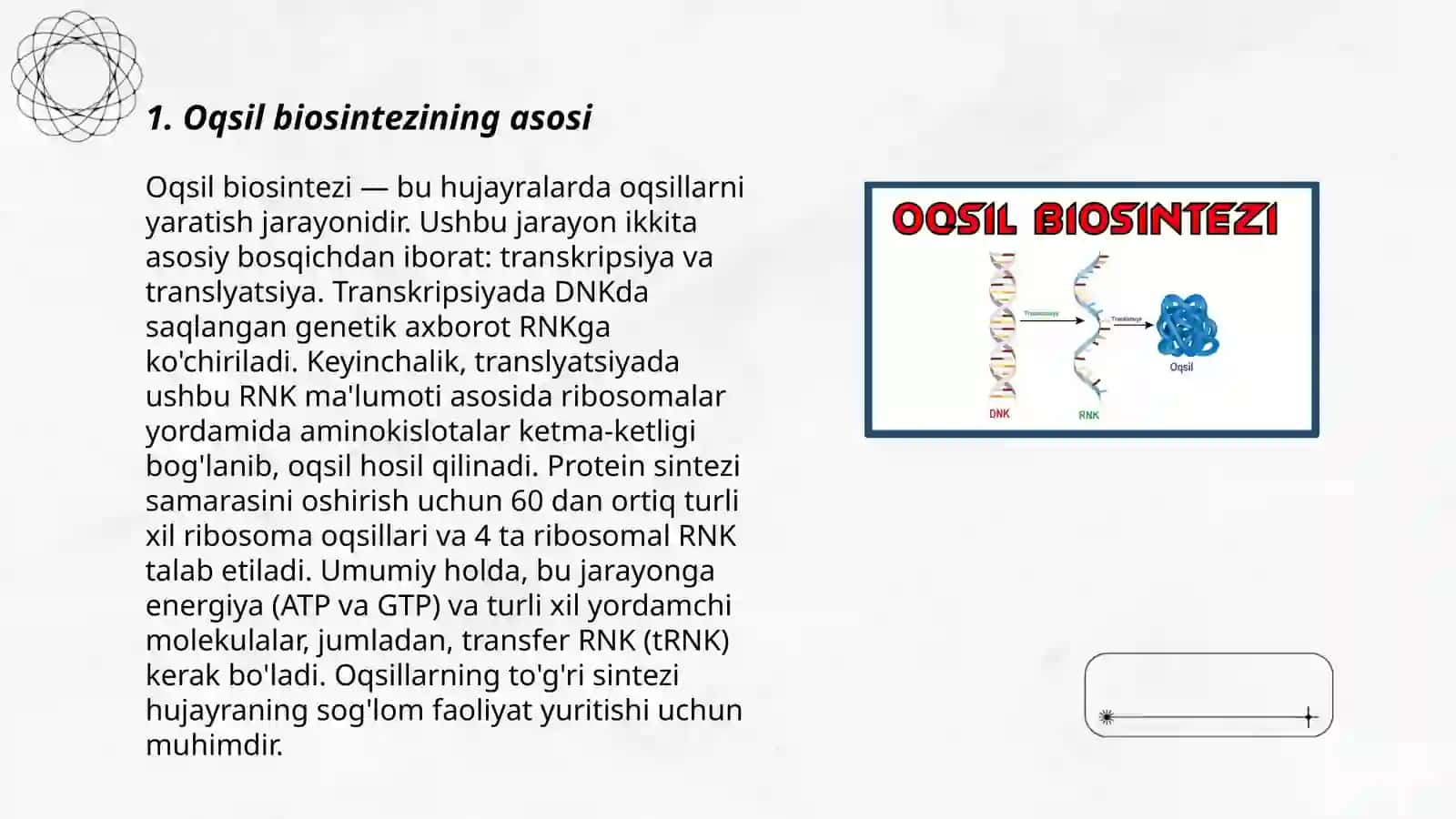 Oqsil biosintez jarayoni 3