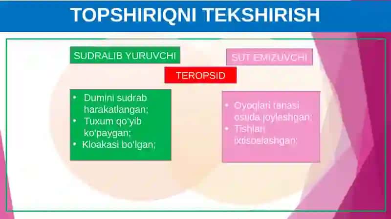 SUT EMIZUVCHI 3