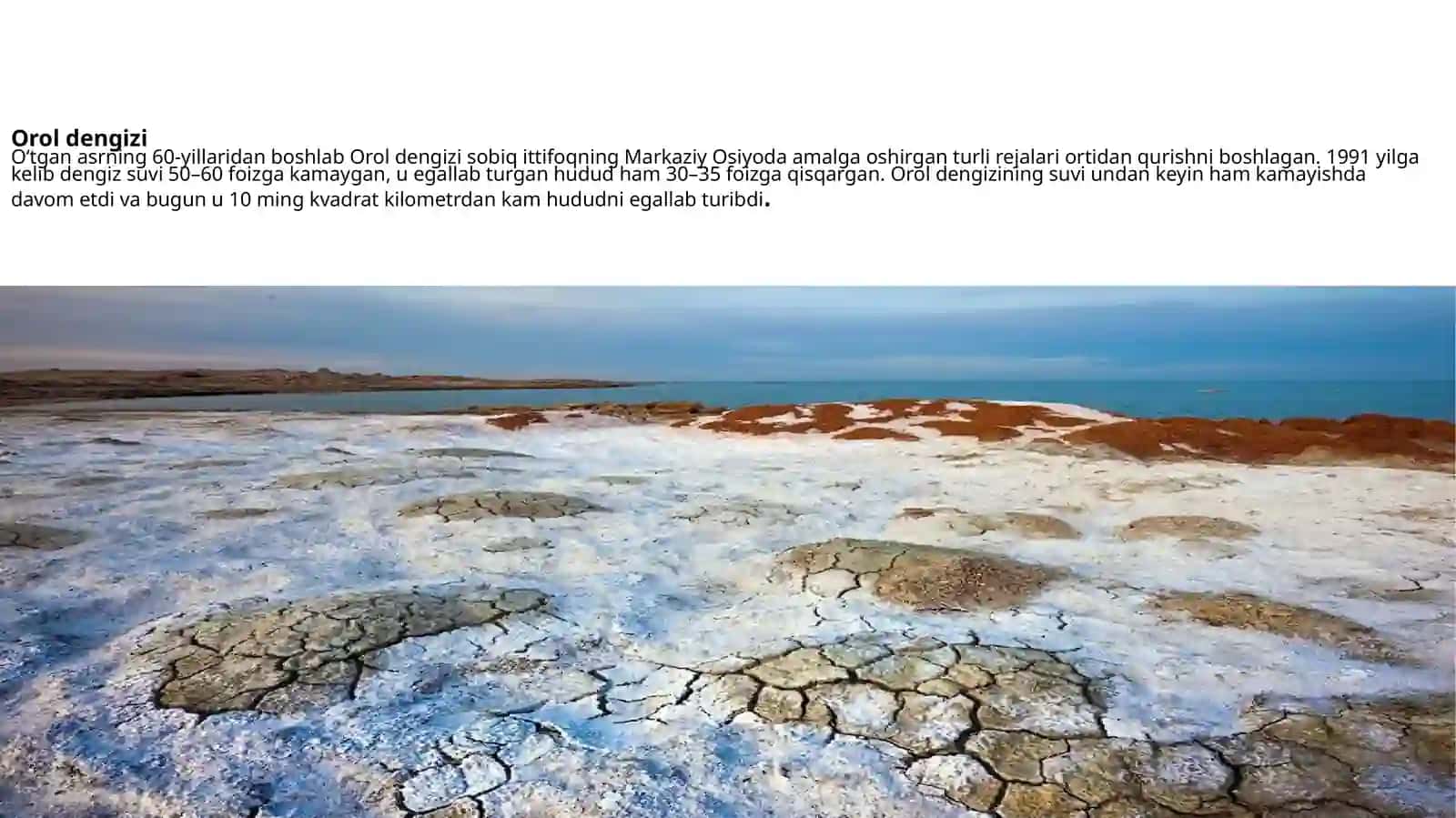 Orol va Orolbo'yi Ekologiyasi 3