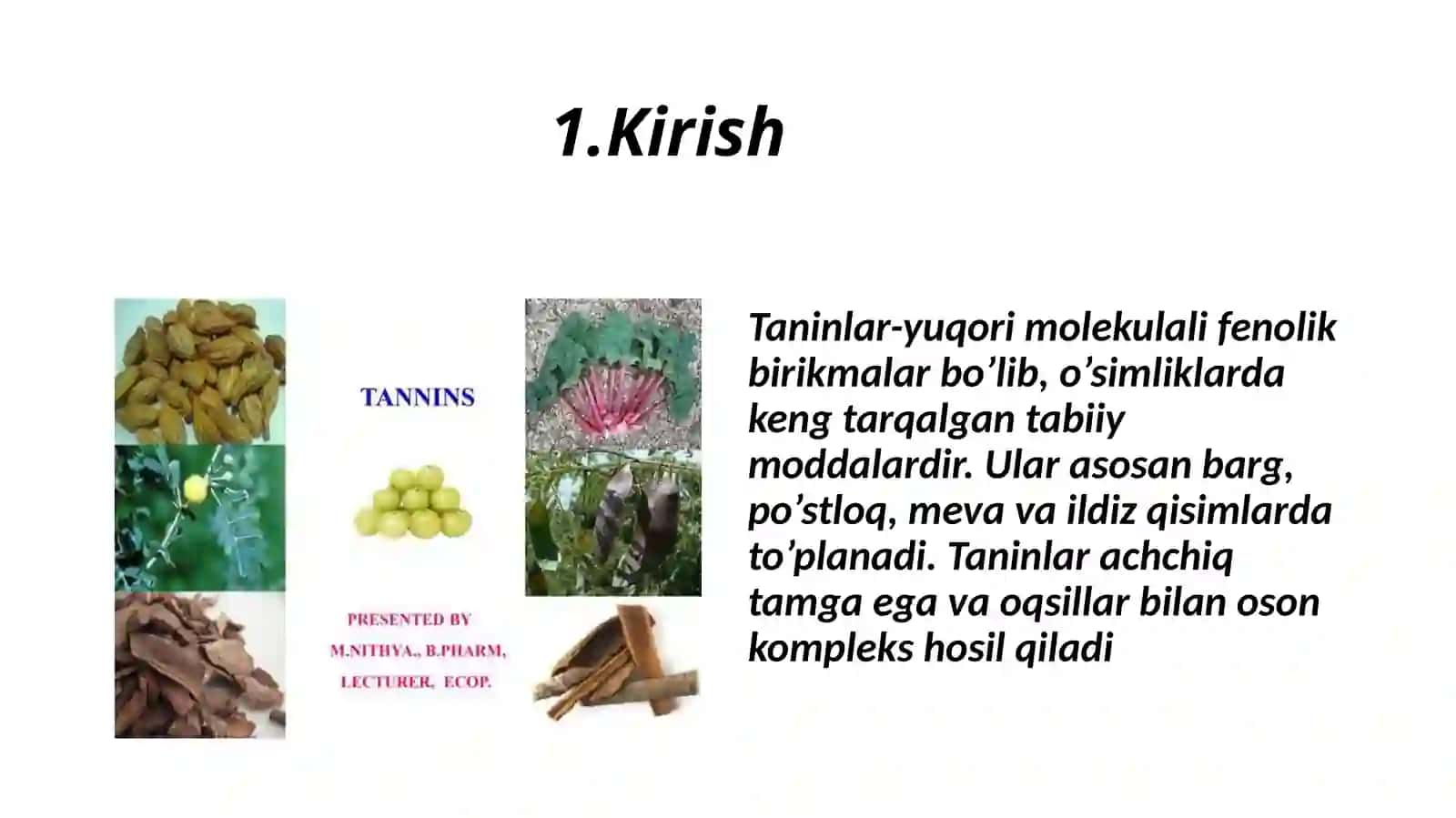 tanninlar. Ajratish usullari va biologik faolligi 3