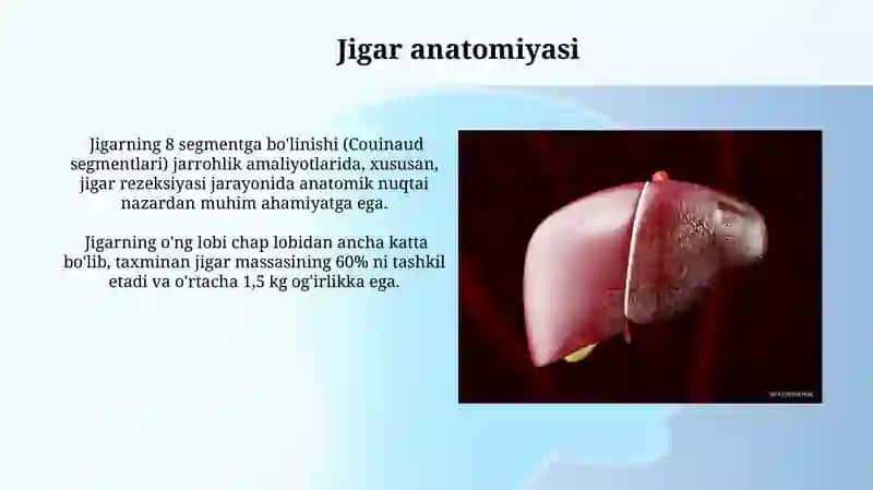 Jigar fiziologiyasi 3