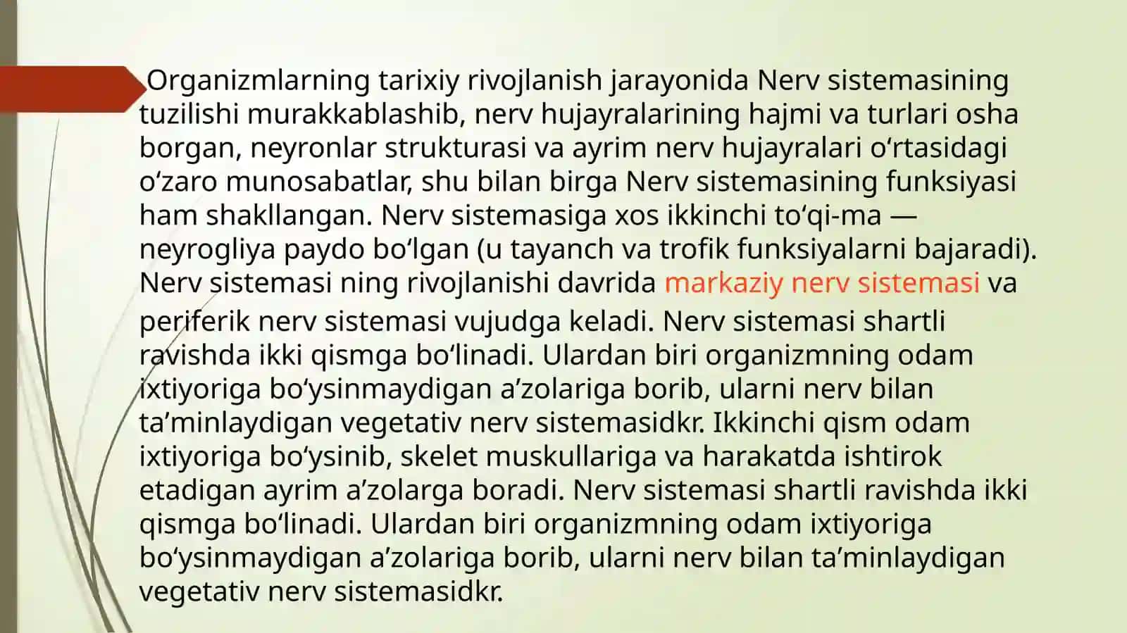 Nerv sistemasining rivojlanishi 3