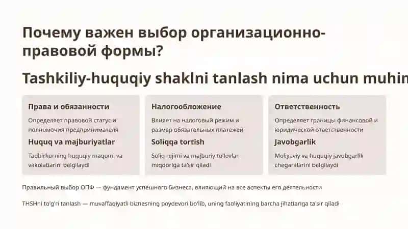 Организационно-правовые формы предпринимательской деятельности 3