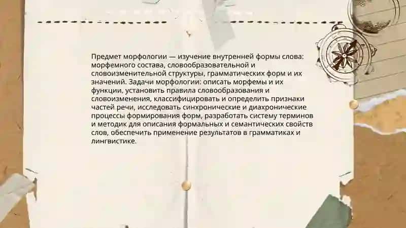 основные понятия морфологии 3