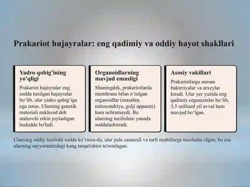 Prakariot hujayralarning umumiy tuzilishi 3