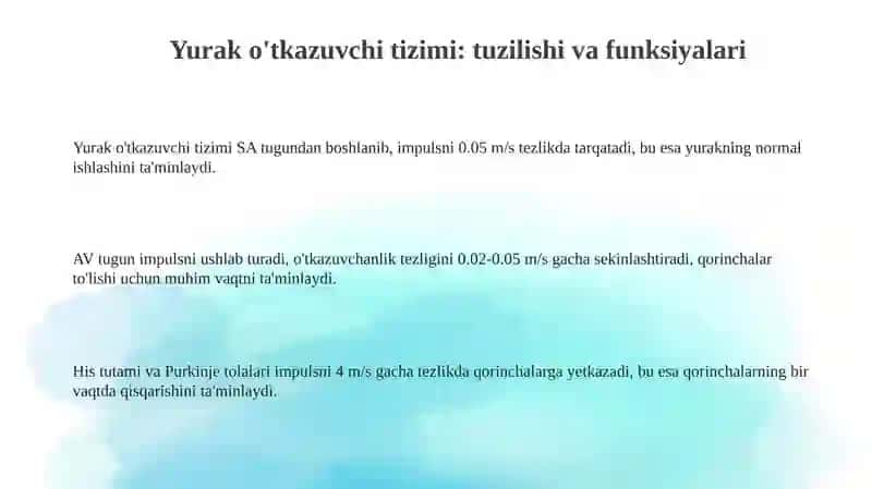Yurakningo'tkazuvchiyo'llari 3
