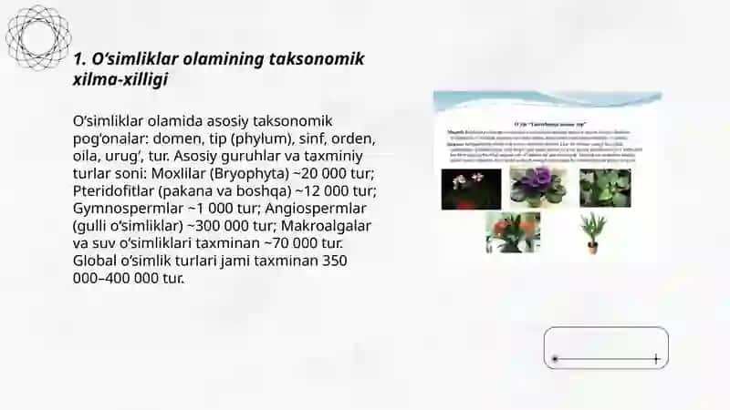 O‘simliklar olamining xilma xilligi 3
