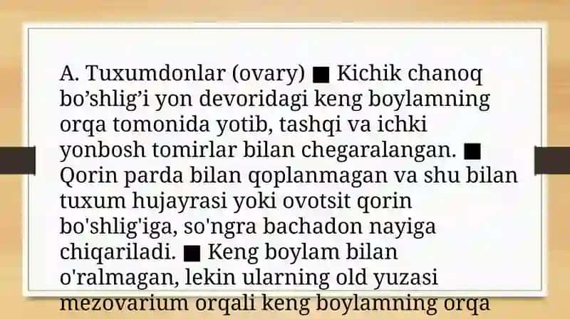 Ayollarjinsiyazosi 3