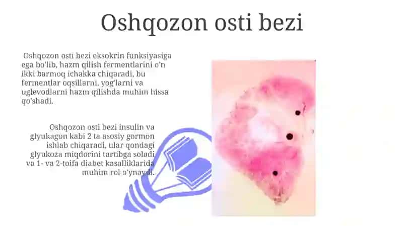 ICHKI SEKRETSIYA BEZLARI 3