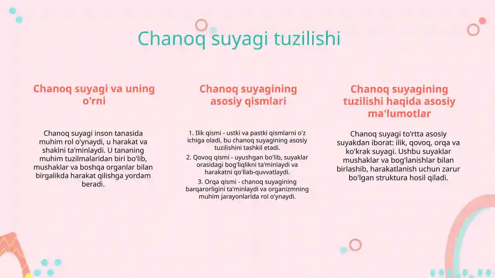 Chanoq suyagi, son suyagi, tizza qopqog'i 3