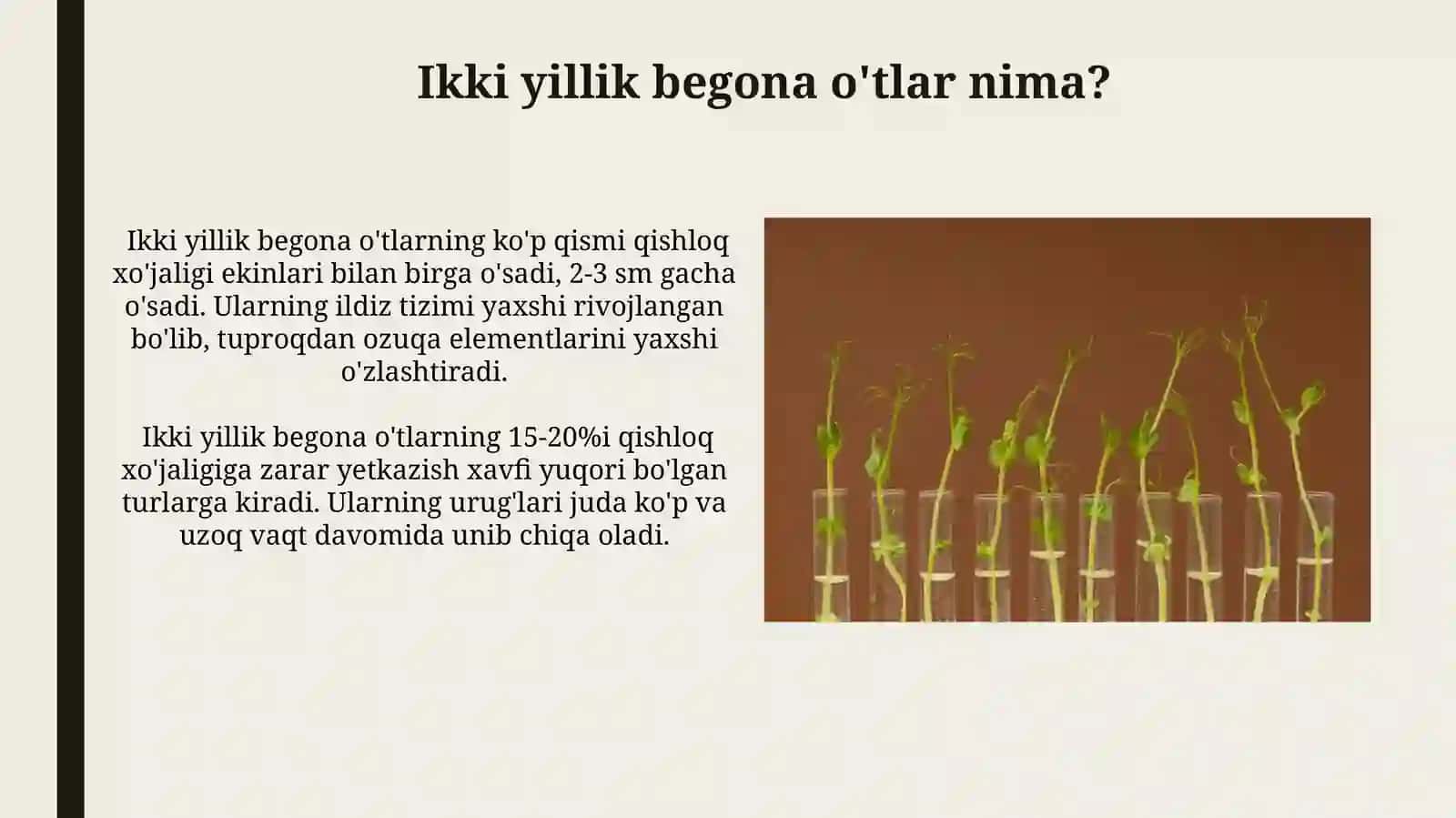 Ikki yillik begona oʻtlar 3