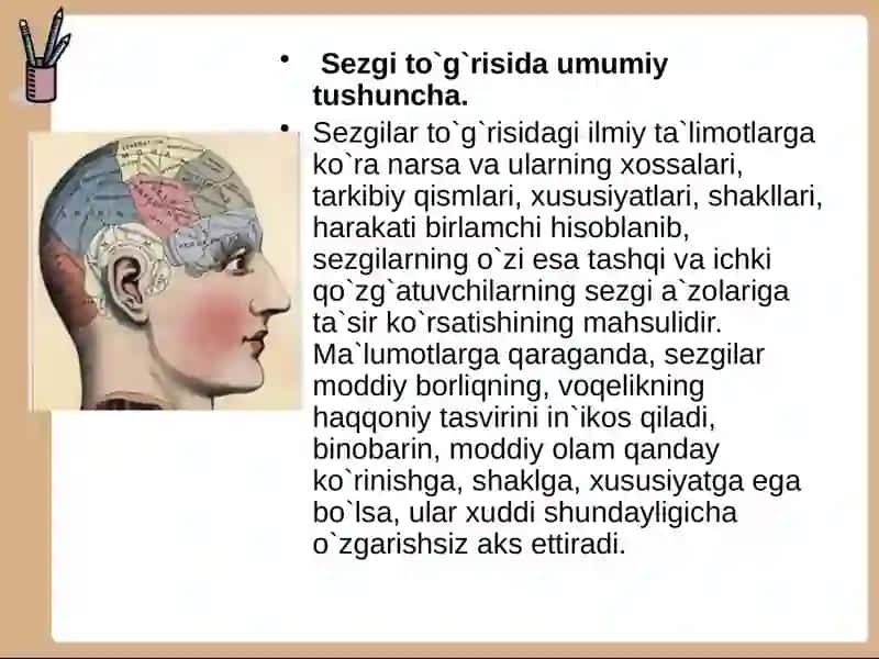 SEZGI 3