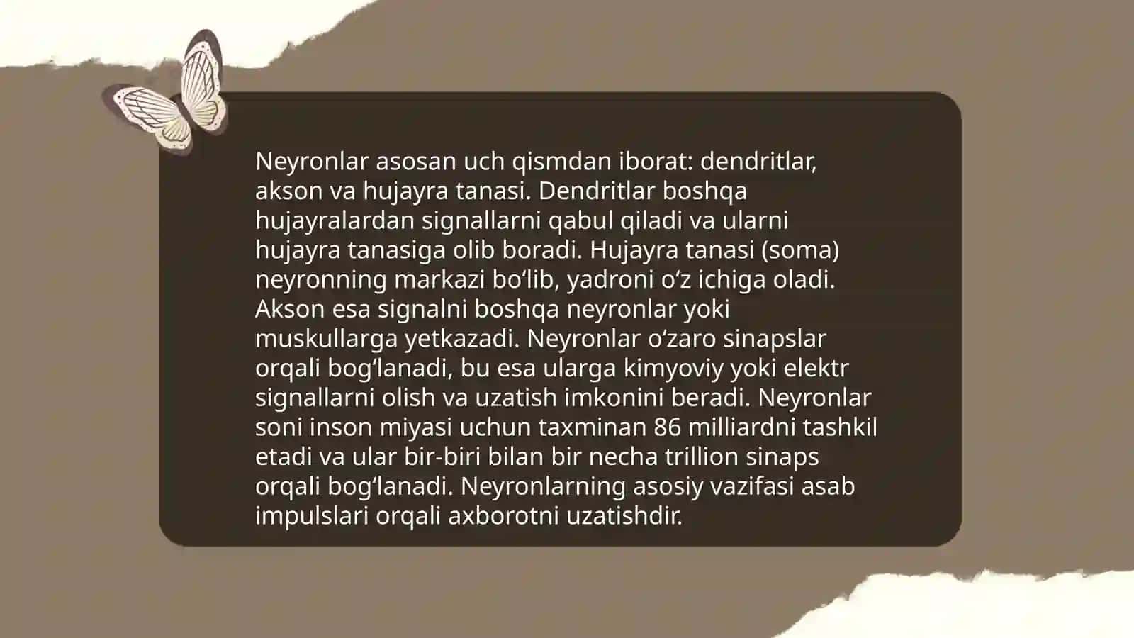 Nöronlar tuzilishi 3