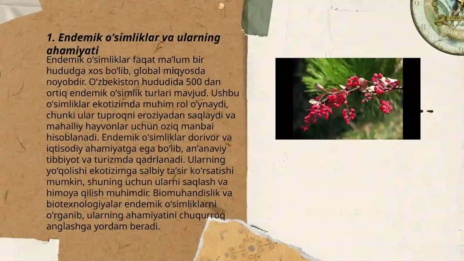 Fargʻona Davlat Universiteti Tabiiy fanlar fakulteti Ekologiya yoʻnalishi 2360-guruh talabasi Doniyorova Dildora 3