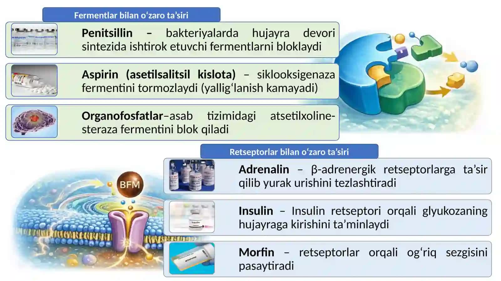 BIOLOGIK FAOL BIRIKMALAR TUSHUNCHASI, TURLARI VA AHAMIYATI 3
