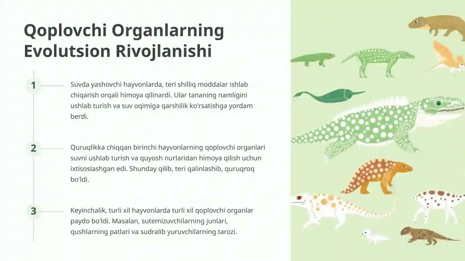 Qoplovchi Organlarning Onto Filogenezi 3