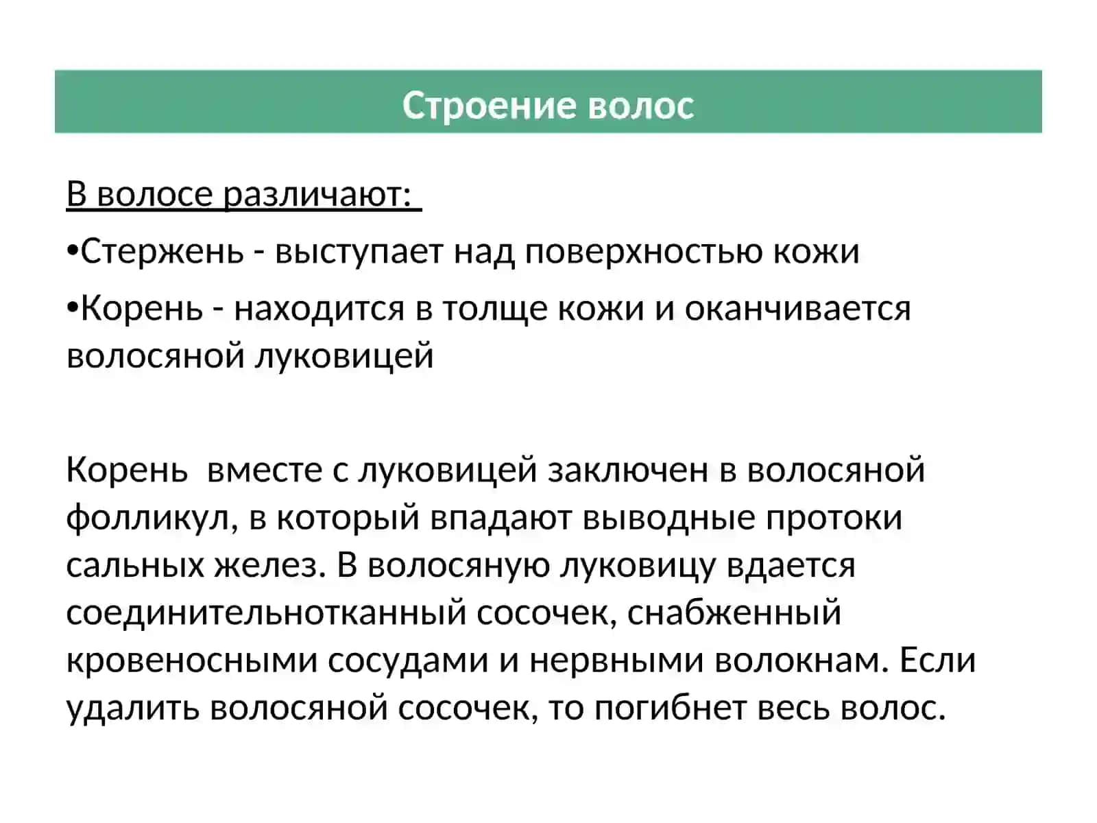 Волосы и кожа головы 3