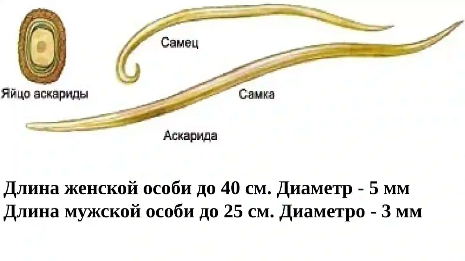 Туристик баттарея 3