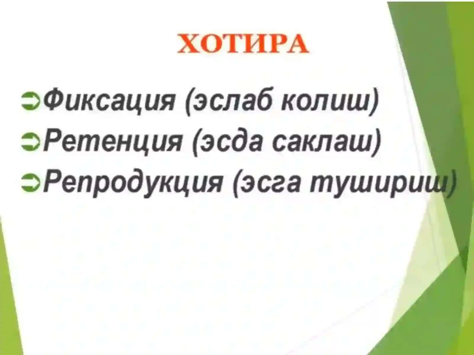 XOTIRA VA DIQQAT BUZILISHLARI 3