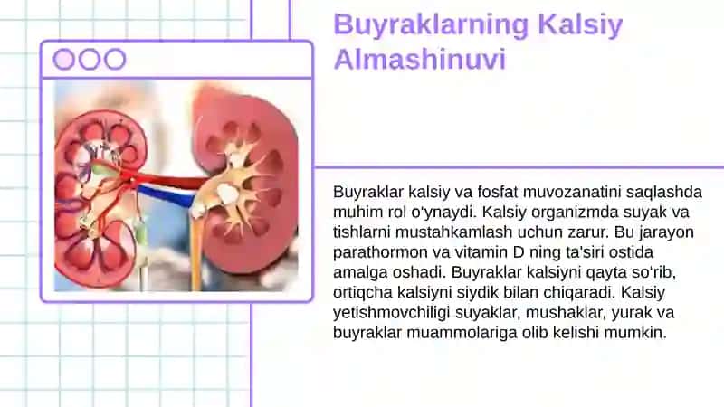 Buyrak biokimyosi 3