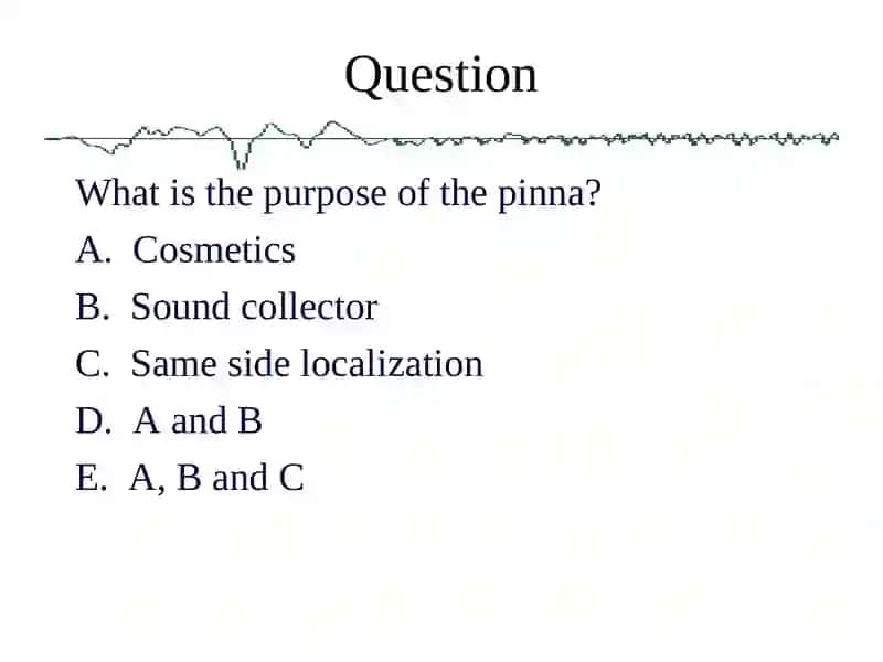 Anatomy Physiology and Disorders of the Hearing 3