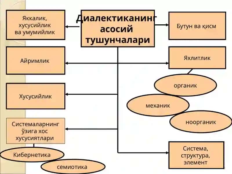 РИВОЖЛАНИШ ҚОНУНЛАРИ 3