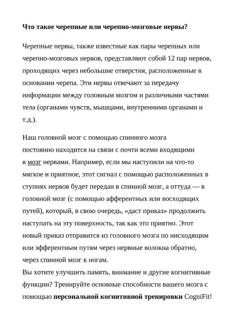 Че́репно-мозговы́е не́рвы 3