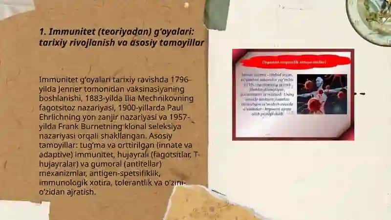 Immunitet (teoriyadan) gʻoyalari 3