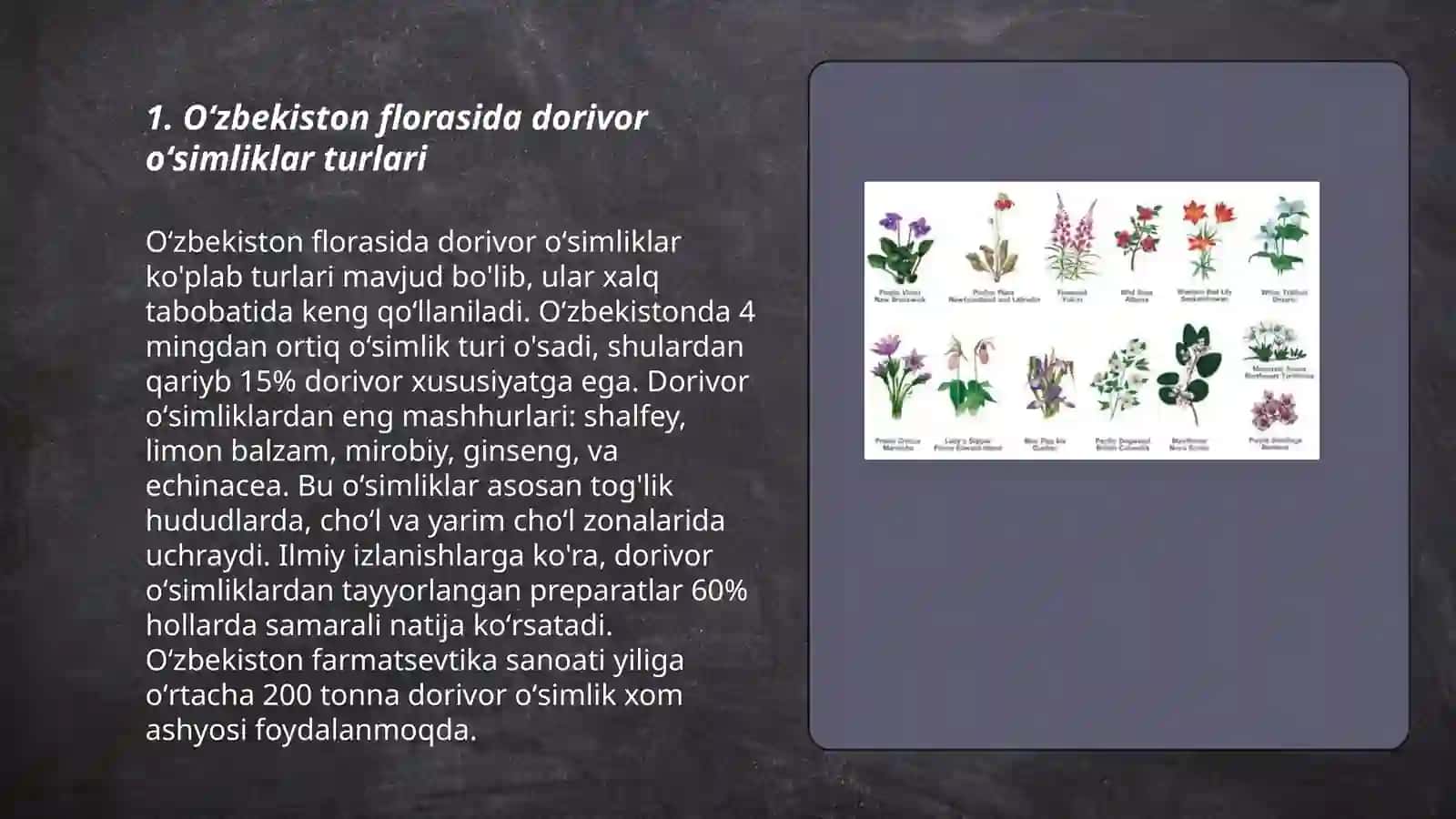 Oʻzbekiston florasi dorivor oʻsimliklari 3