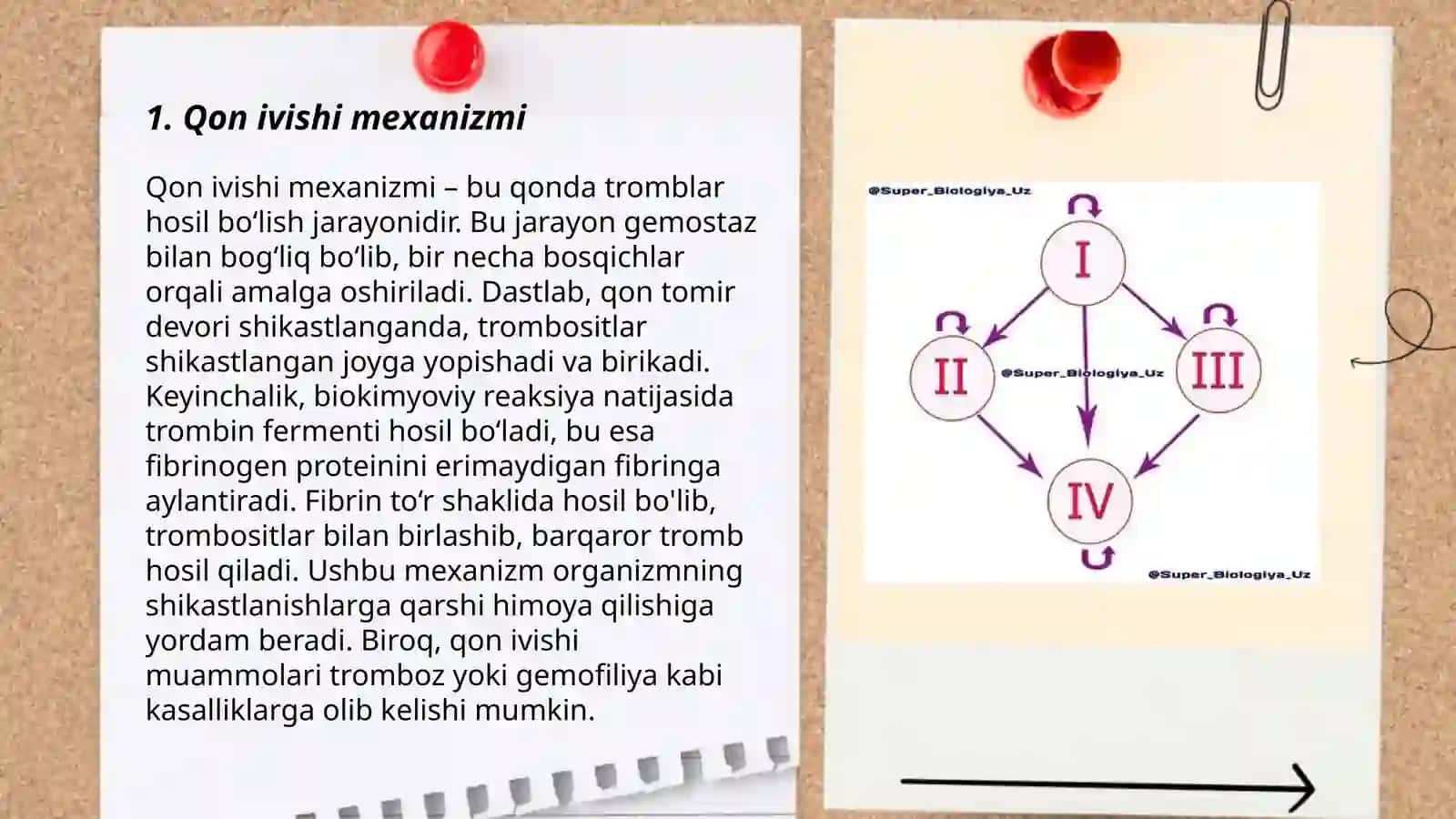 Qon ivishi mexanizmi 3