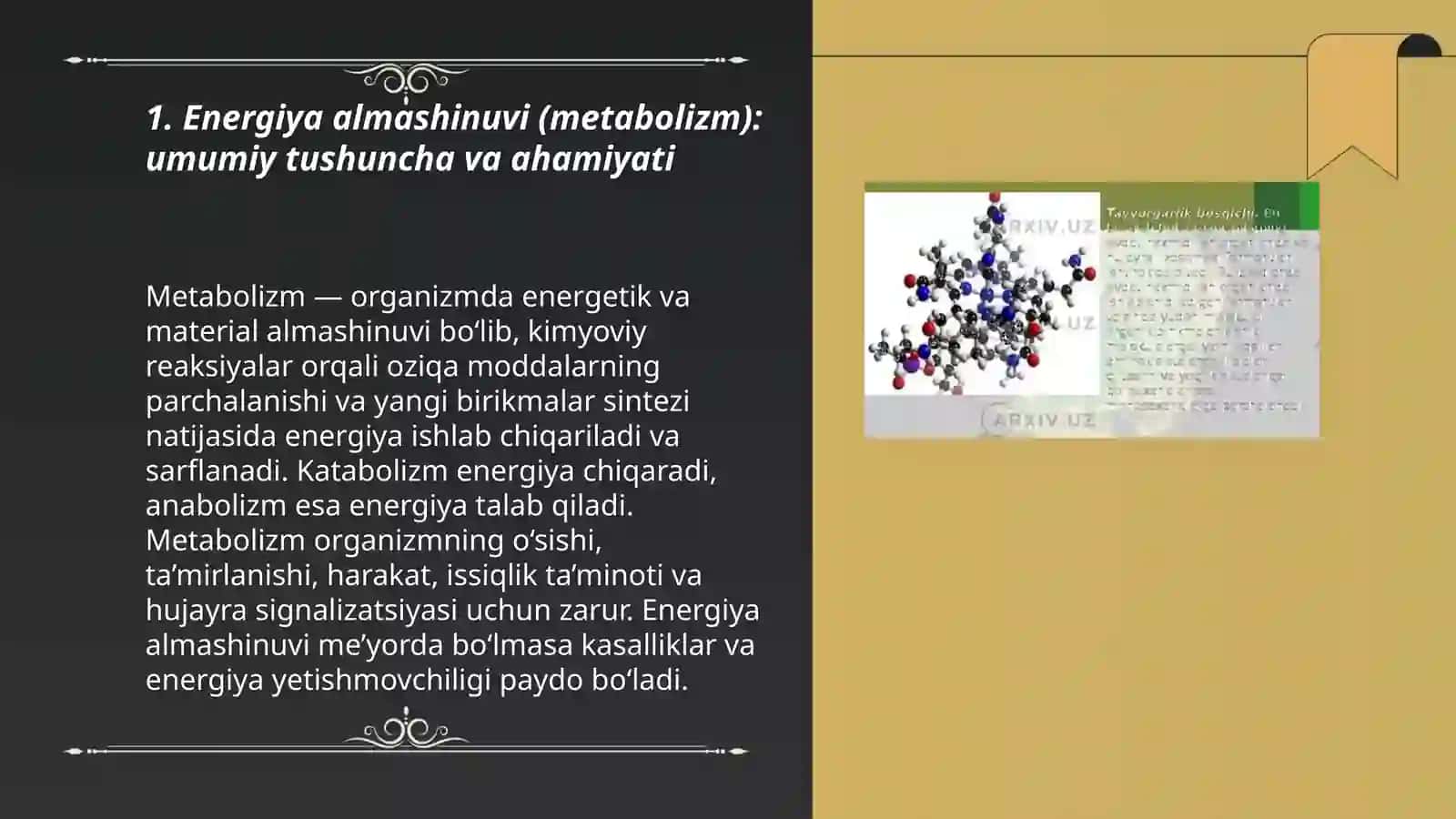 Energiya almashinuvi (metabolizm) 3