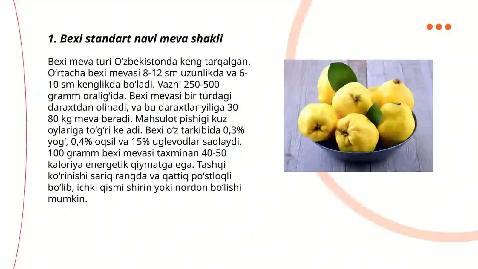 Bexi standart navi meva shakli 3
