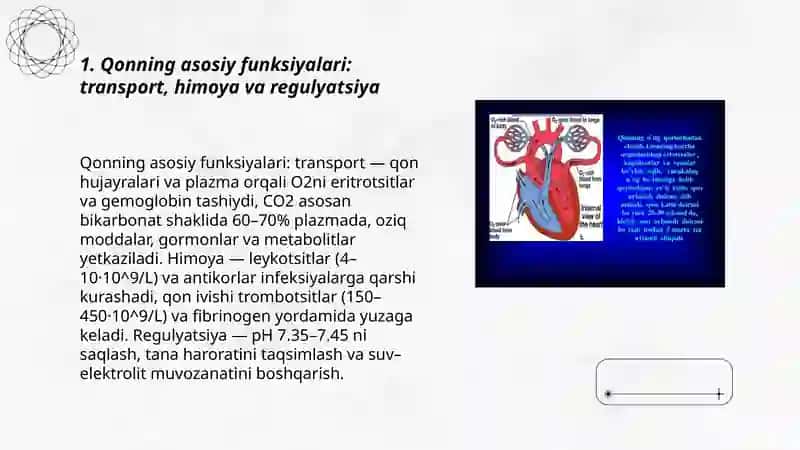 Qon funksiyalari, qon tarkibi 3