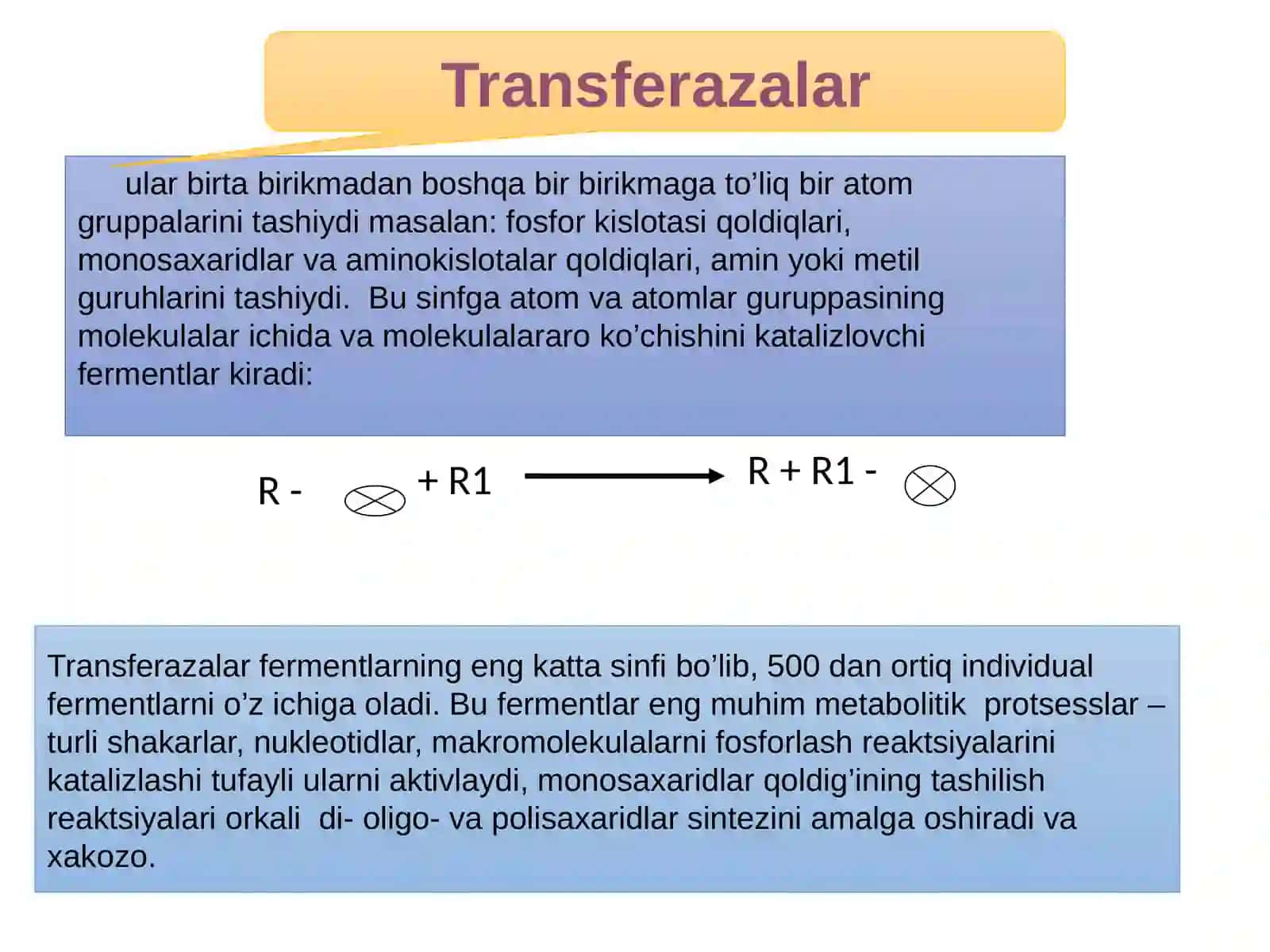 Fermentlar 3