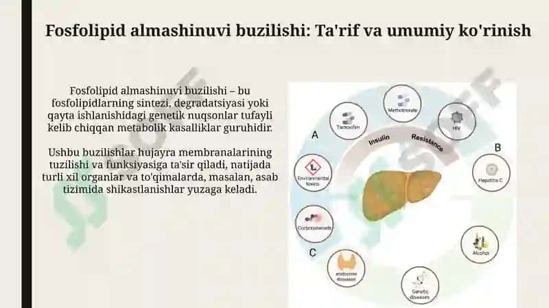 Fosfolipidlar almashinuvi buzilishi 3