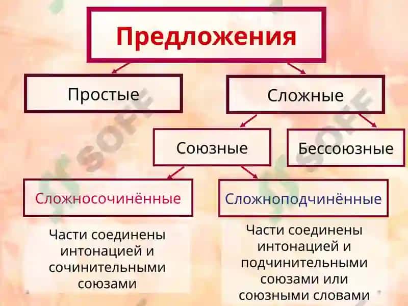 Сложноподчиненное предложение 3