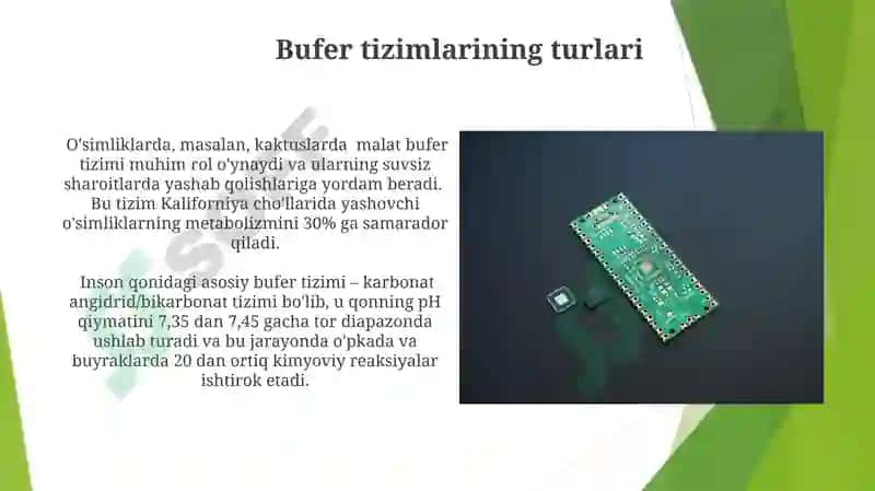 Organizmning bufer sistemasi 3