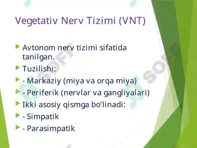Vegetativ Nerv Tizimi (VNT) 3