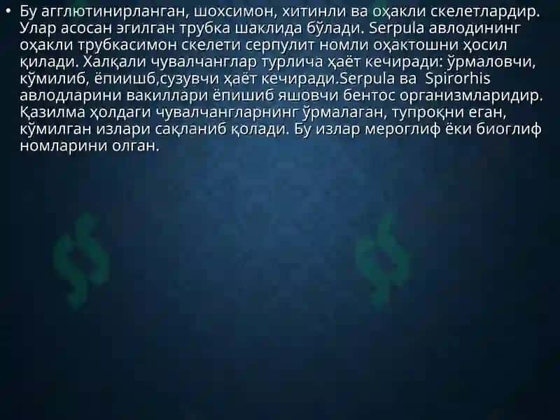 Халқали Чувалчанглар Типи 3