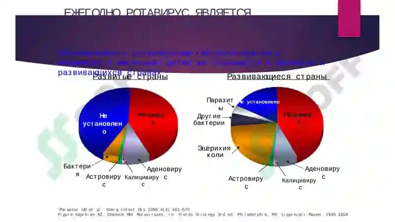 Вирусные диареи 3