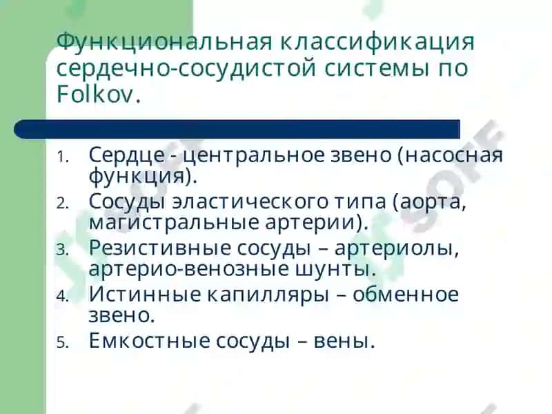 Патофизиология сердечной недостаточности 3