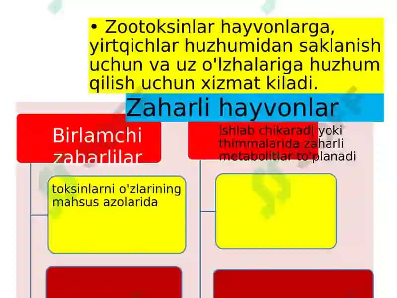 Zaharli hayvonlar 3