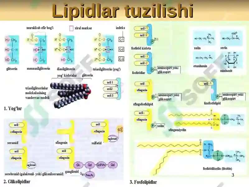 LIPIDLAR ALMASHINUVI BIOKIMYOSI 3