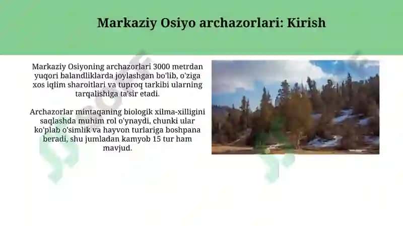 Markaziy Osiyoning archazorlari 3